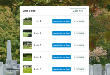 automated sales processes